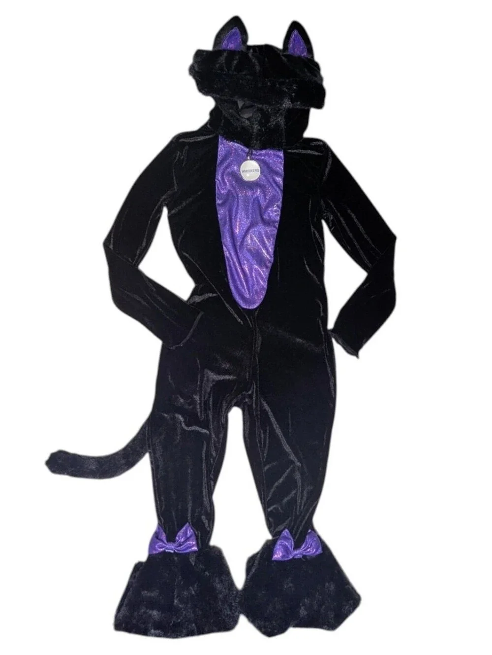 Spirit car costume